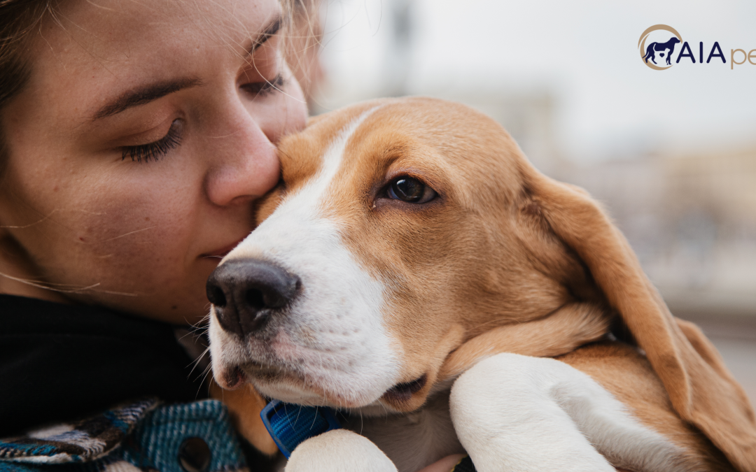 Top 5 Reasons to Choose a Pet Transport Service Like My Pet Travel